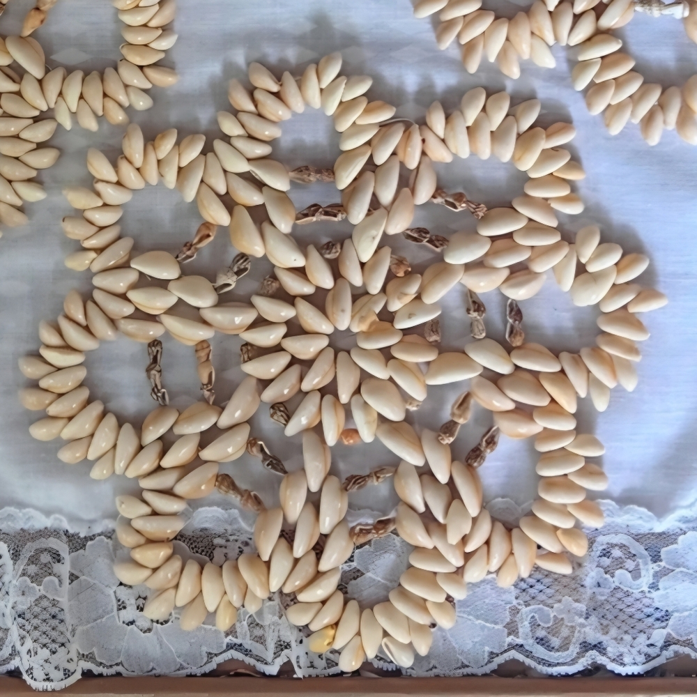 Cowrie Shell Doilie
